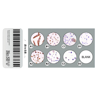 BiosB Histopathology Solutions